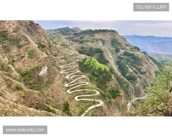 《二十四道拐》:一段悲壮的抗战史诗,一次荡气回肠的民族记忆